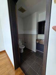 Radiance @ Bukit Timah (D21), Terrace #554019951